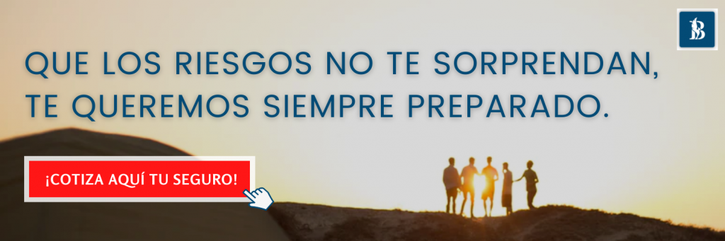 Seguro de Hogar-Barrón-Contacto